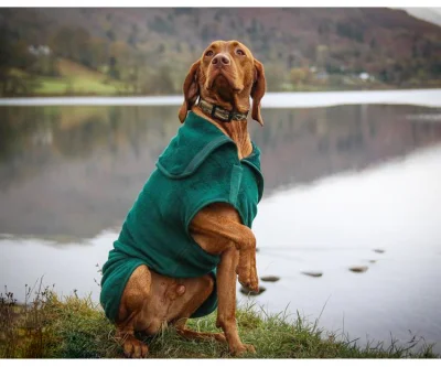 Maravilhoso roupão de banho para cães ao ar livre com logotipo personalizado em microfibra para secagem com efeito superabsorvente e casaco de toalha para cães